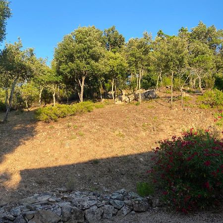 Li Paduleddi Country Guest House Olbia Exterior foto