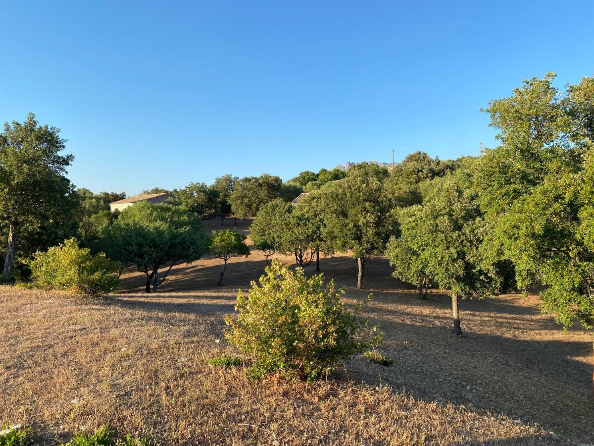 Li Paduleddi Country Guest House Olbia Exterior foto