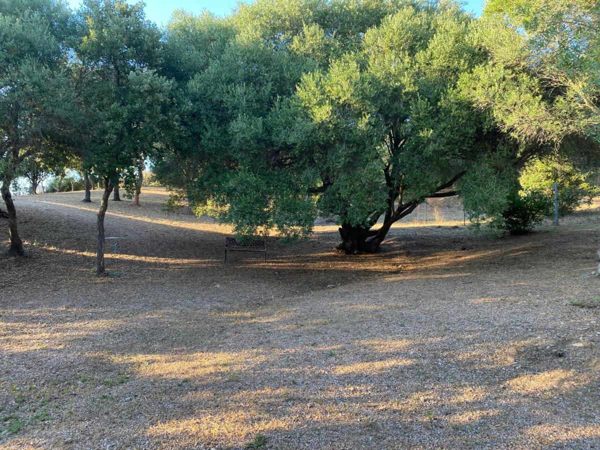 Li Paduleddi Country Guest House Olbia Exterior foto