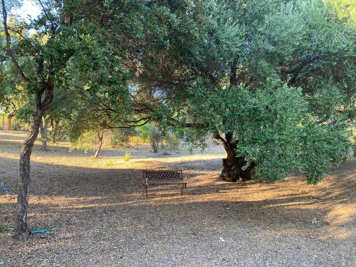 Li Paduleddi Country Guest House Olbia Exterior foto